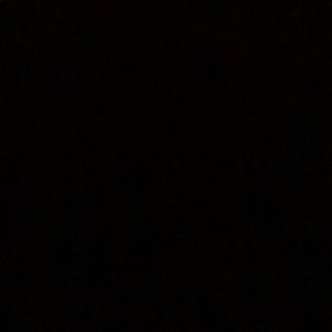 Meet your Posher, Dahlia